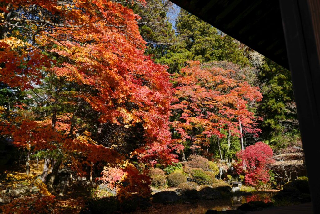 長野2泊3日夫婦ふたり旅：2日目：下諏訪ぶらぶらソロ散歩　慈雲寺