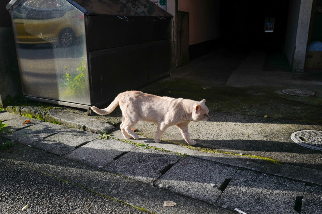 佐渡島夫婦ふたり旅：2日目：ホテル天の川荘の朝食