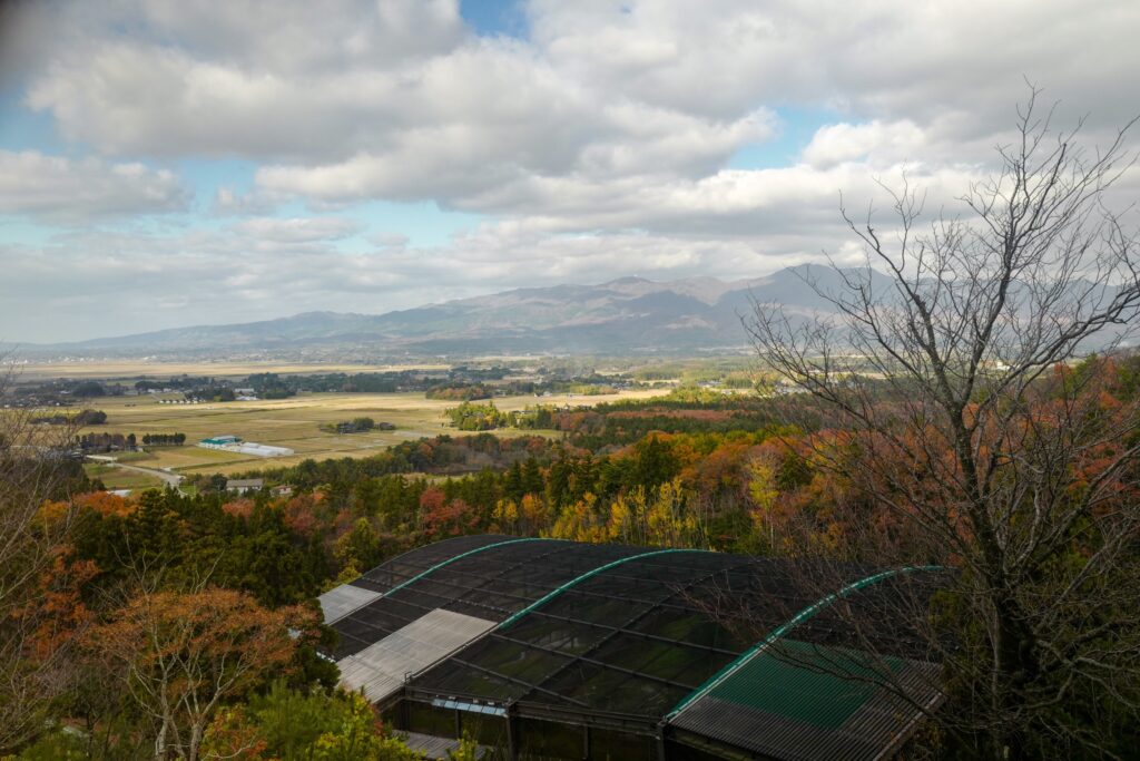 佐渡島夫婦ふたり旅：3日目：トキ観察棟