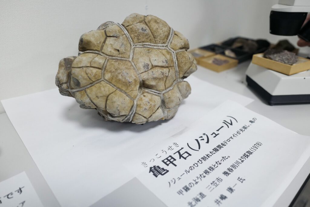 佐渡島夫婦ふたり旅：3日目：佐渡島開発総合センター ジオパーク情報センター