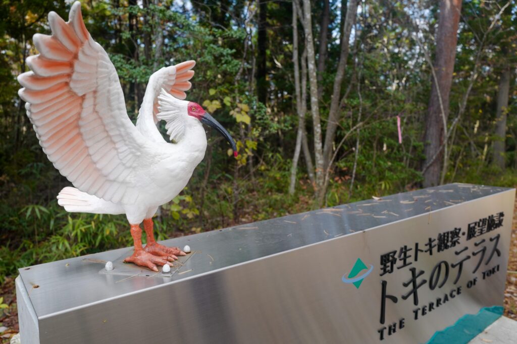 佐渡島夫婦ふたり旅：3日目：トキのテラスへ