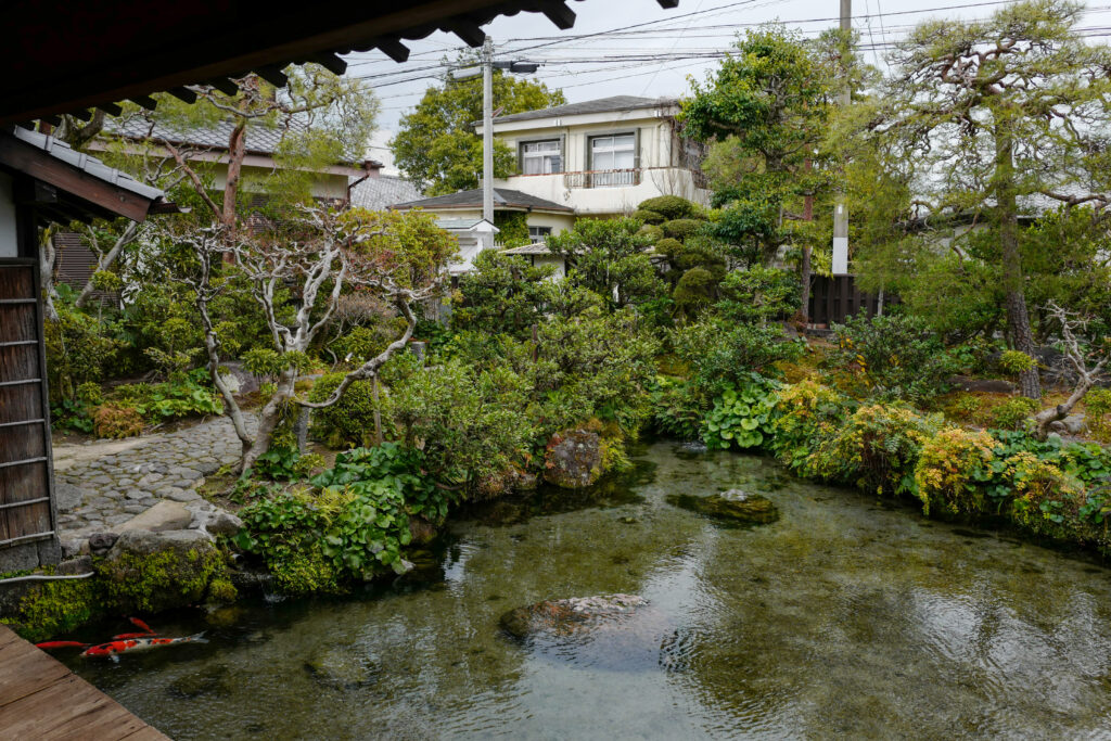 島原・天草4泊5日旅：2日目：島原城下散策　四明荘の湧水