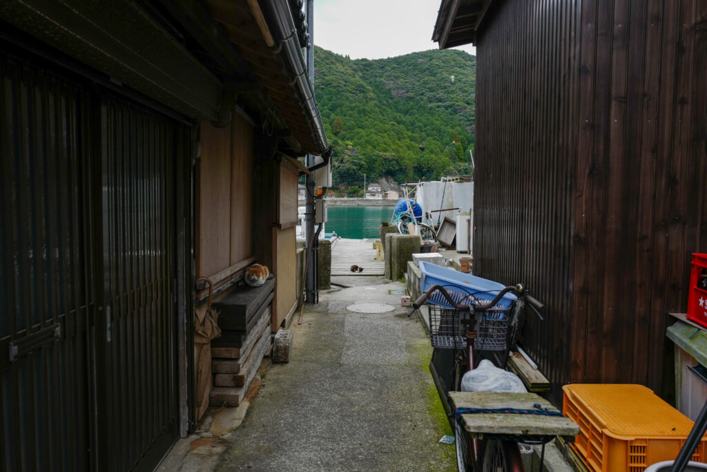 天草　崎津　トウヤ