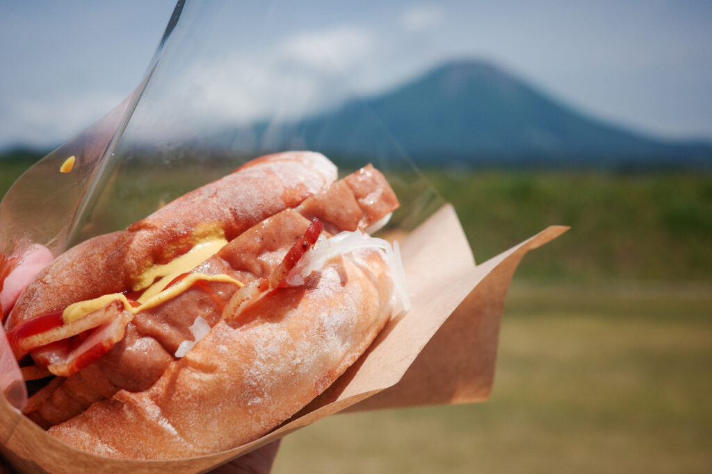 鳥取ひとり旅で食べた美味しいもの：テラスザダイセン　大山がいなバーガーセット