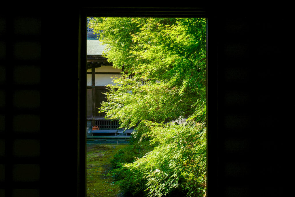 富山３泊４日旅　国宝瑞龍寺日曜早朝坐禅会