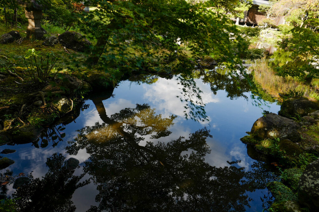 三島　佐野美術館　日本庭園