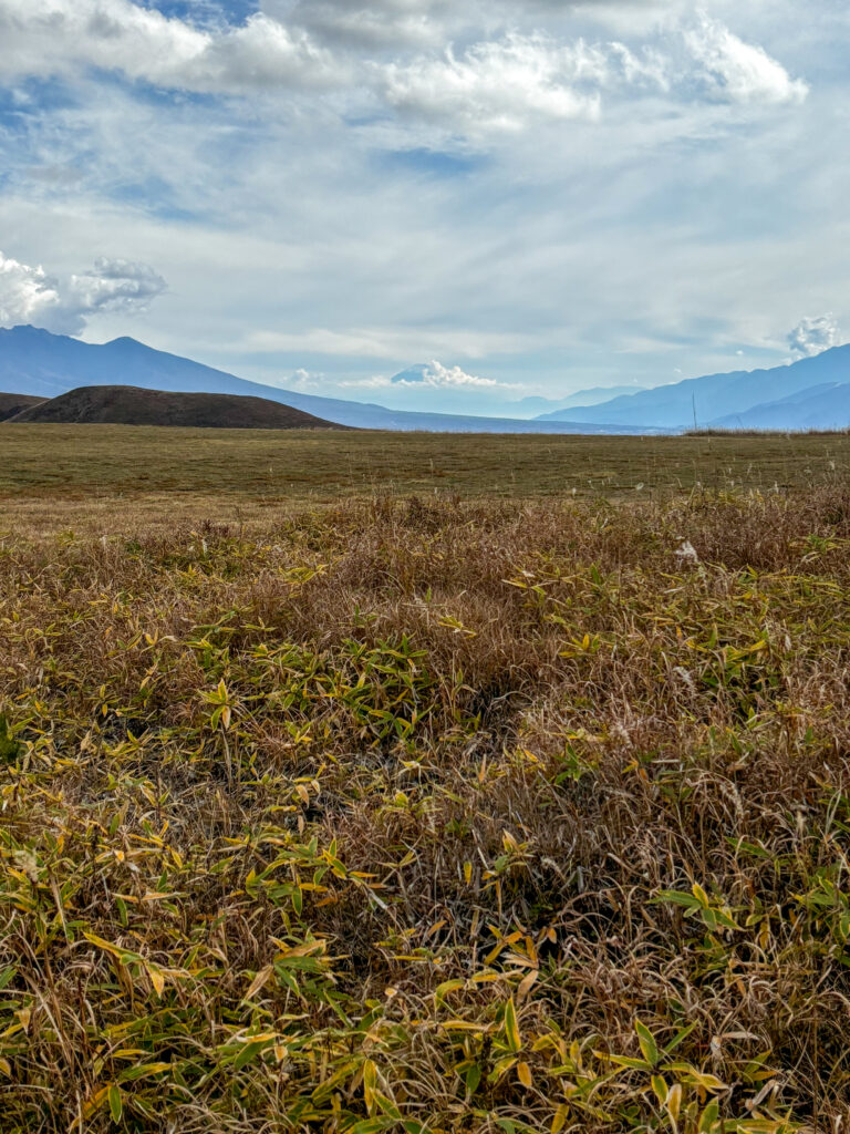 霧ヶ峰から富士山