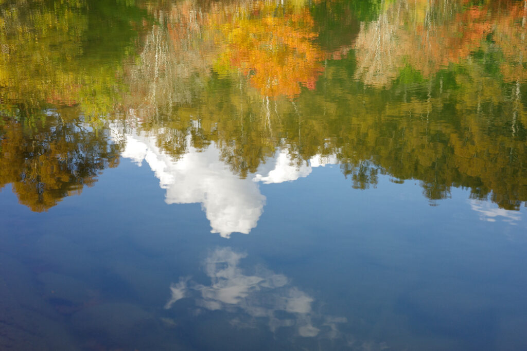 紅葉の穴場　湖畔で野点