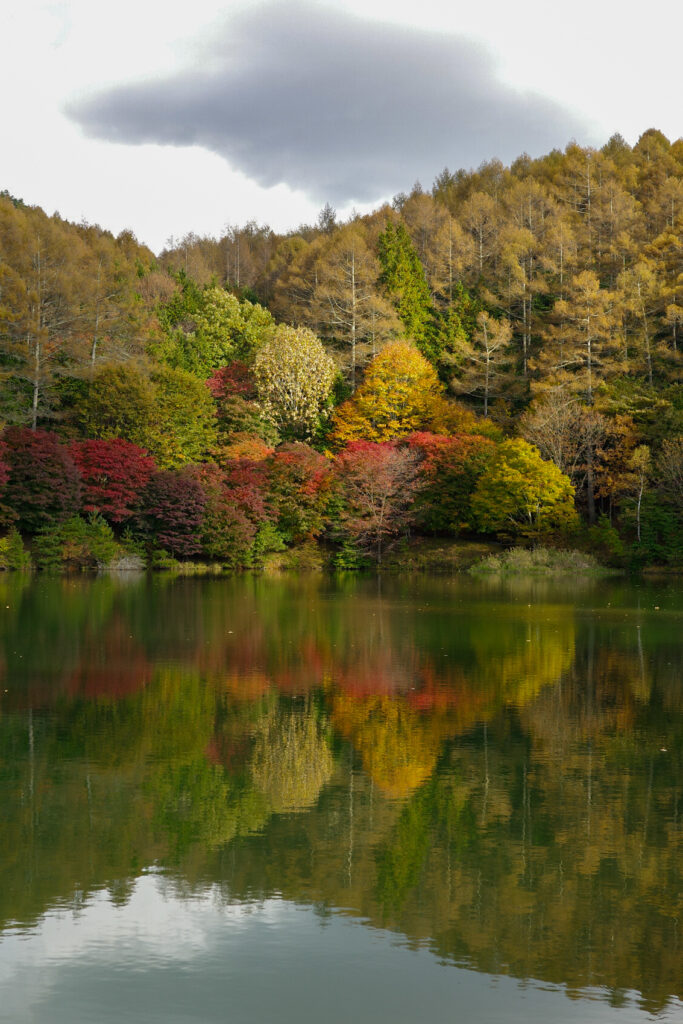 紅葉の穴場　湖畔で野点