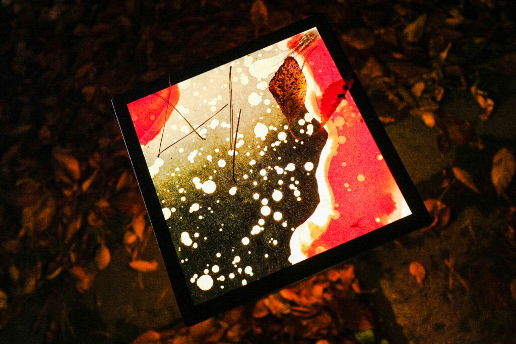弘前城の夜の紅葉　比呂s会場聞くと紅葉まつりライトアップ