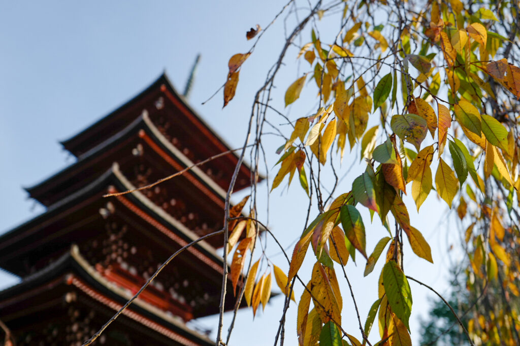 弘前レンタサイクル散策　最勝院　紅葉