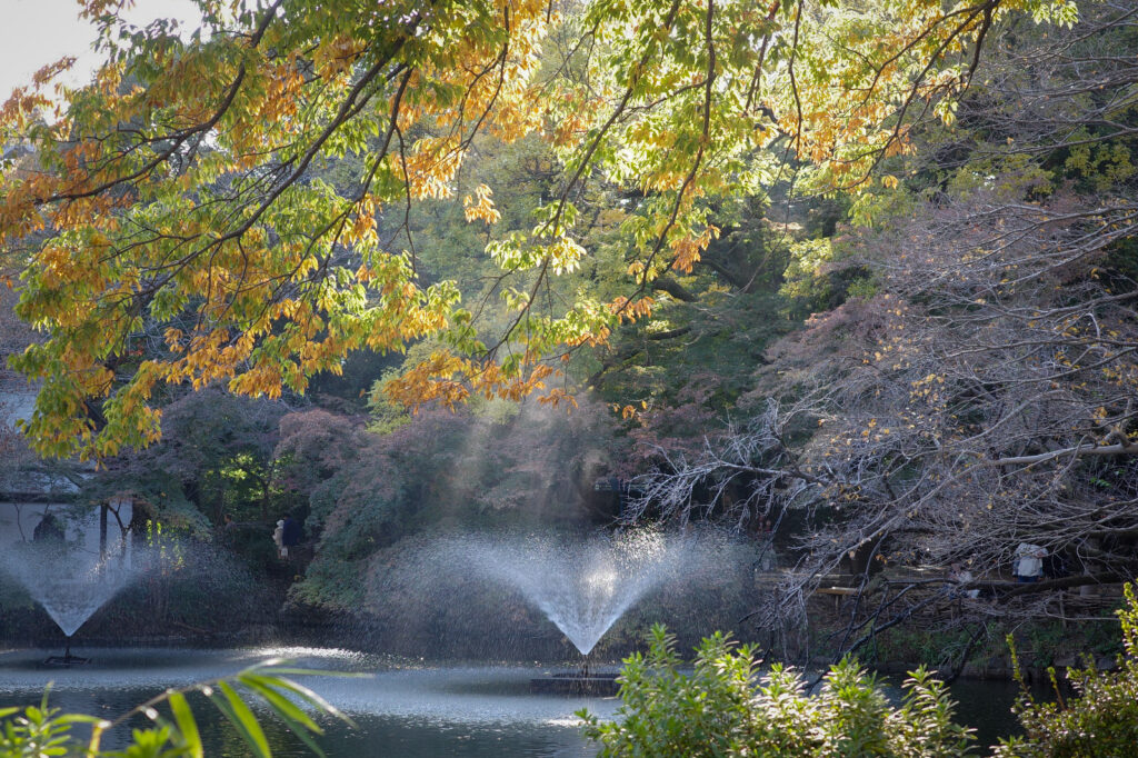 三鷹跨線人道橋から井の頭公園へぶらり散歩　GR3x