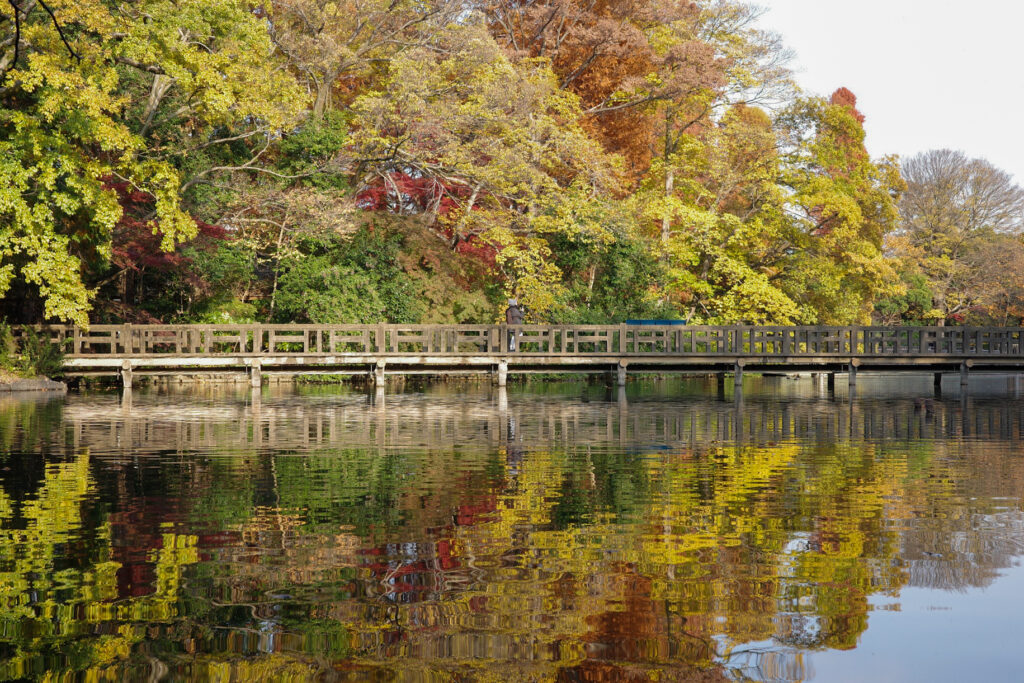 三鷹跨線人道橋から井の頭公園へぶらり散歩　GR3x