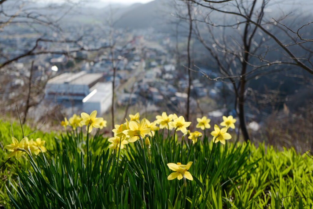 瞰望岩
