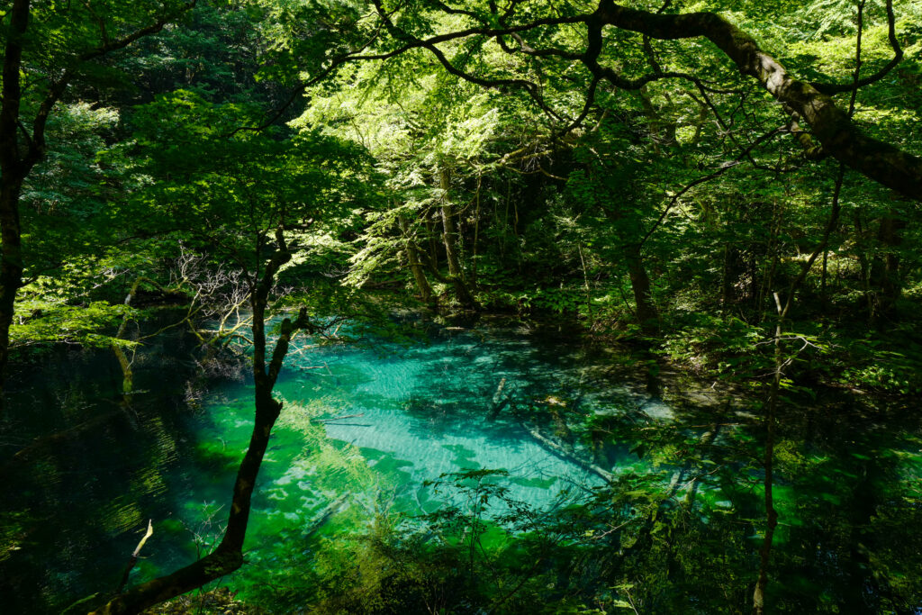 十二湖 沸壺の池