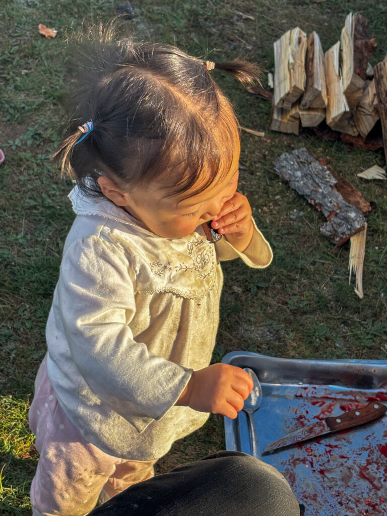 モンゴル　遊牧民ゲルホームステイ　ホルホグ　レバー焼