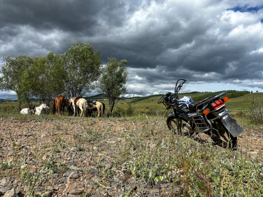 モンゴル旅行　馬旅キャンプ　乗馬体験
