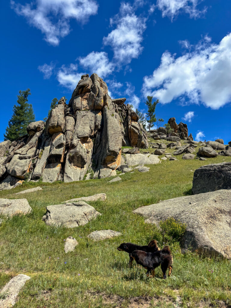 モンゴル　遊牧民ゲルホームステイ　馬旅キャンプ　乗馬ハイキング　Gunjin sum