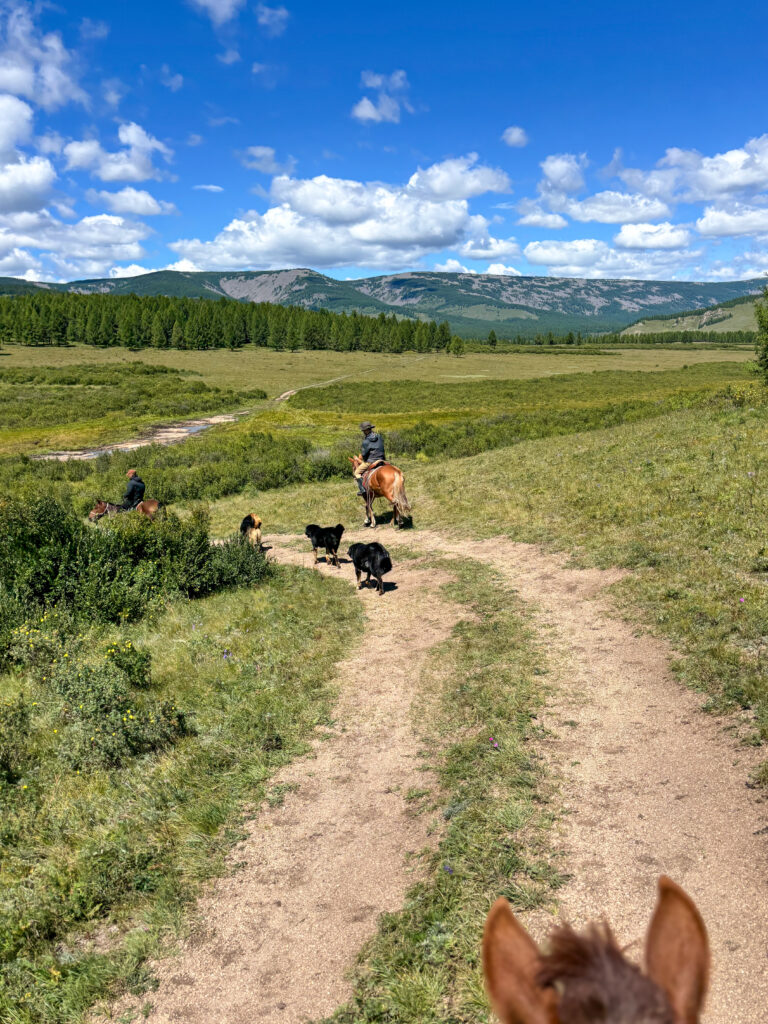 モンゴル　遊牧民ゲルホームステイ　馬旅キャンプ　乗馬ハイキング　Gunjin sum