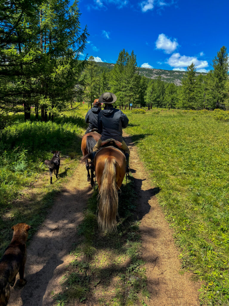 モンゴル　遊牧民ゲルホームステイ　馬旅キャンプ　乗馬ハイキング　Gunjin sum