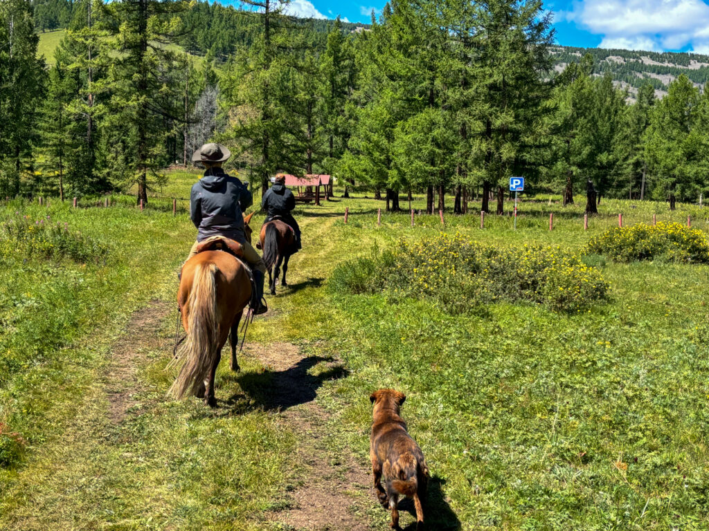 モンゴル　遊牧民ゲルホームステイ　馬旅キャンプ　乗馬ハイキング　Gunjin sum