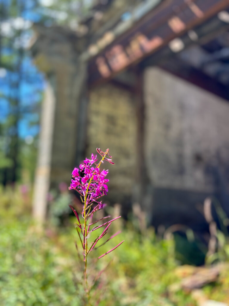 モンゴル　遊牧民ゲルホームステイ　馬旅キャンプ　乗馬ハイキング　Gunjin sum　祠