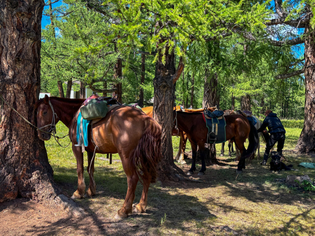 モンゴル　遊牧民ゲルホームステイ　馬旅キャンプ　乗馬ハイキング　Gunjin sum　祠　