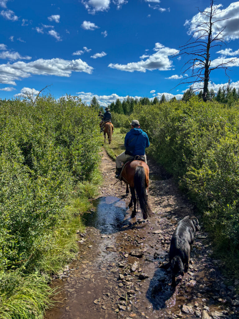 モンゴル　遊牧民ゲルホームステイ　馬旅キャンプ　乗馬ハイキング　Gunjin sum　
