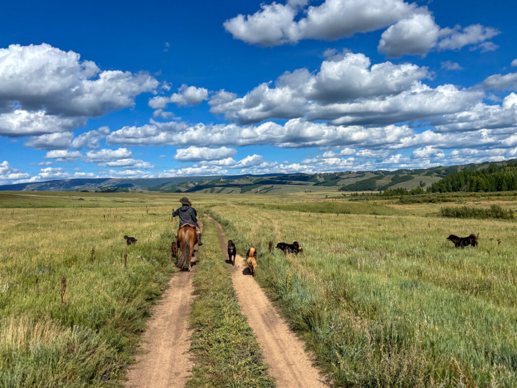 モンゴル　遊牧民ゲルホームステイ　馬旅キャンプ　乗馬ハイキング　Gunjin sum　