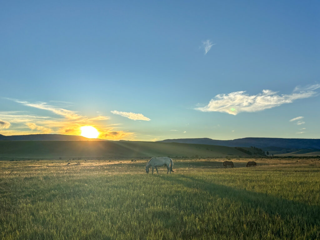 モンゴル　遊牧民ゲルホームステイ　馬旅キャンプ　