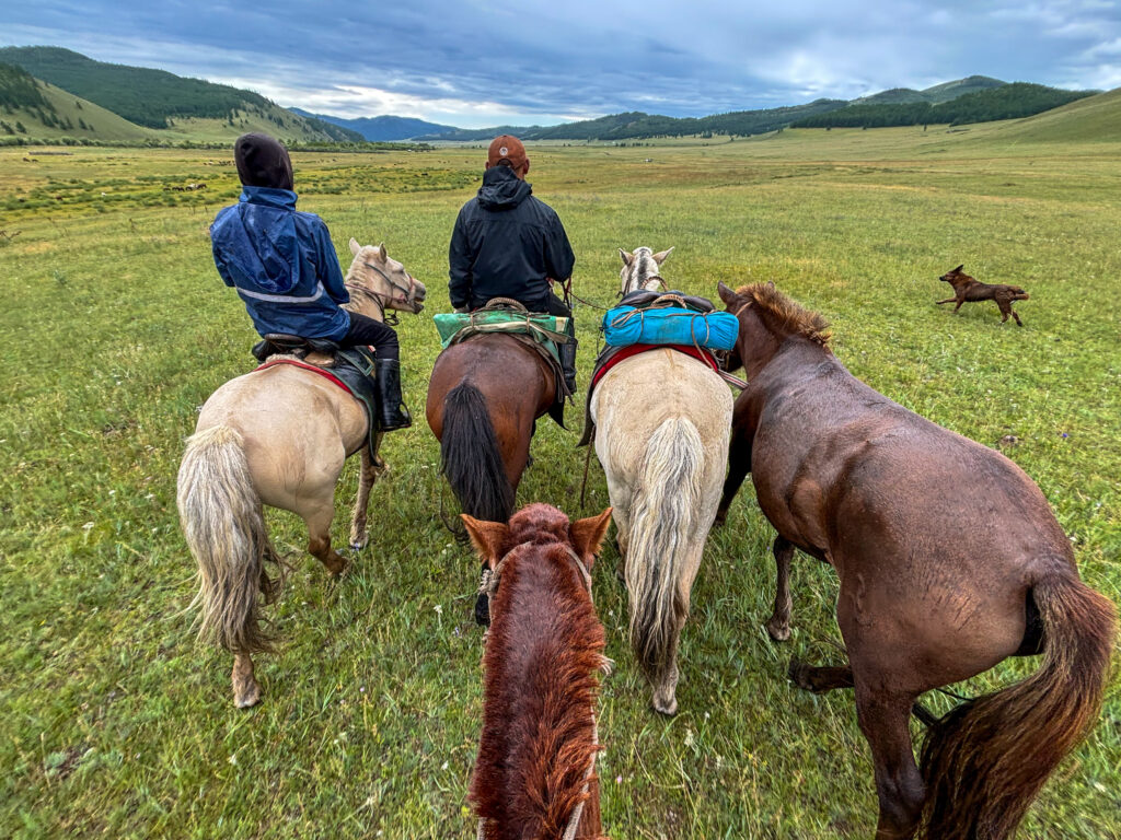 モンゴル　遊牧民ゲルホームステイ　馬旅キャンプ