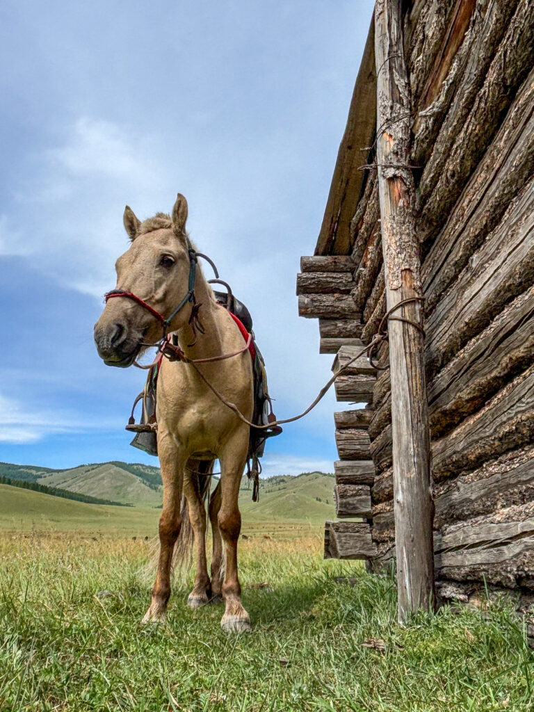 モンゴル　遊牧民ゲルホームステイ　馬旅キャンプ