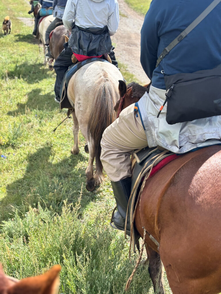 モンゴル　遊牧民ゲルホームステイ　馬旅キャンプ