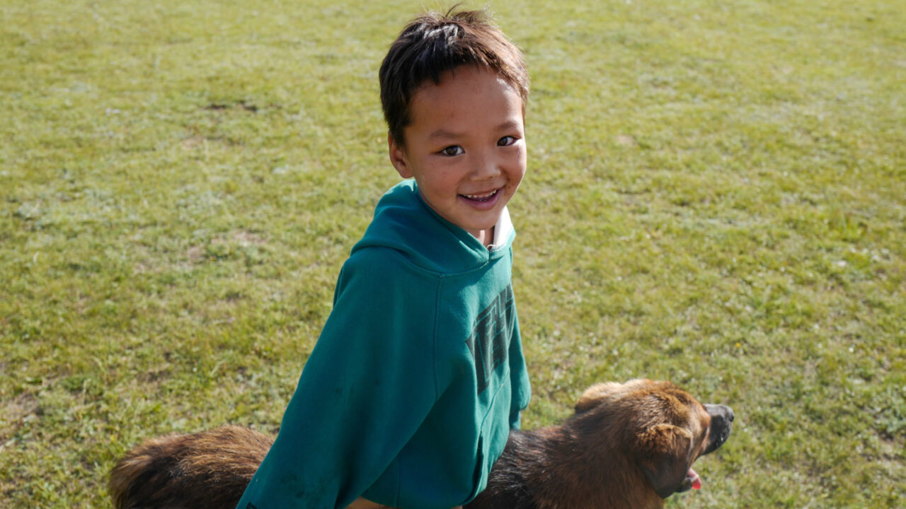 モンゴル　遊牧民ゲルホームステイ　