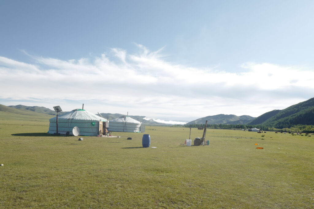 モンゴル　遊牧民ゲルホームステイ