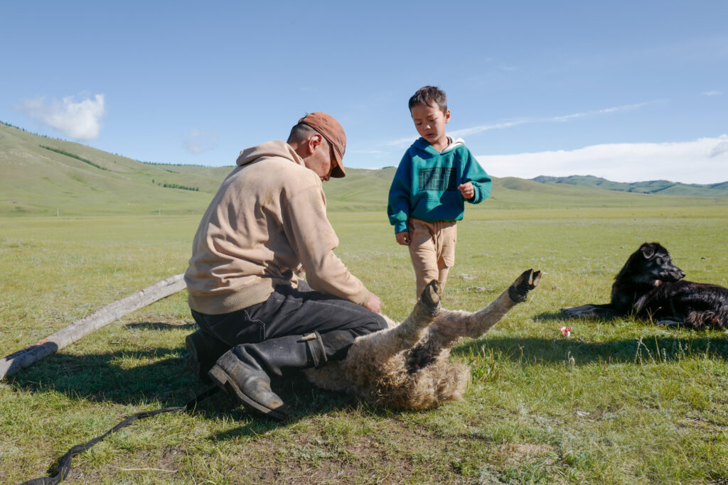 モンゴル　遊牧民ゲルホームステイ　ホルホグ