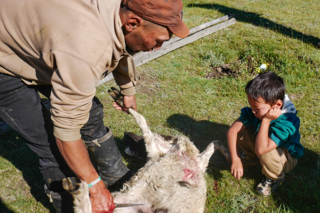 モンゴル　遊牧民ゲルホームステイ　ホルホグ