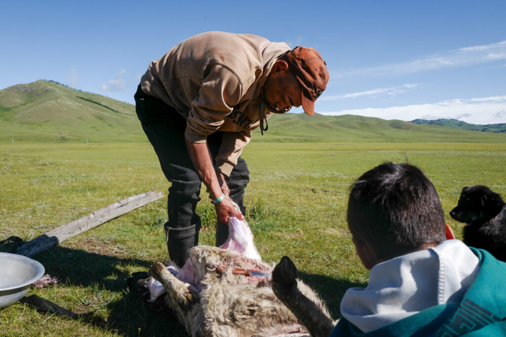 モンゴル　遊牧民ゲルホームステイ　ホルホグ