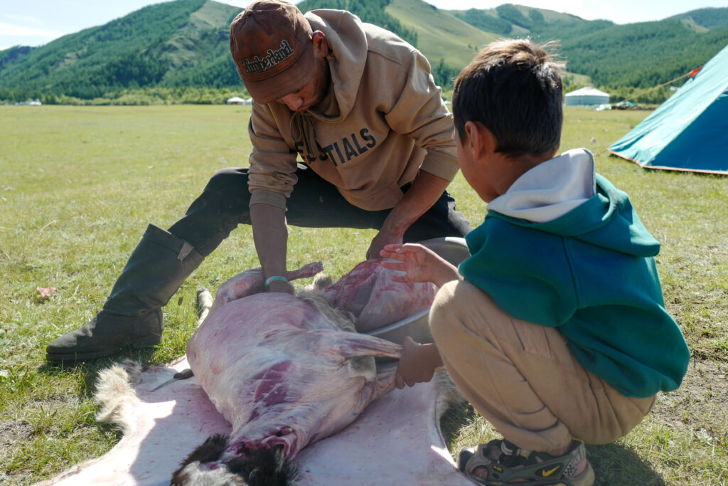 モンゴル　遊牧民ゲルホームステイ　ホルホグ