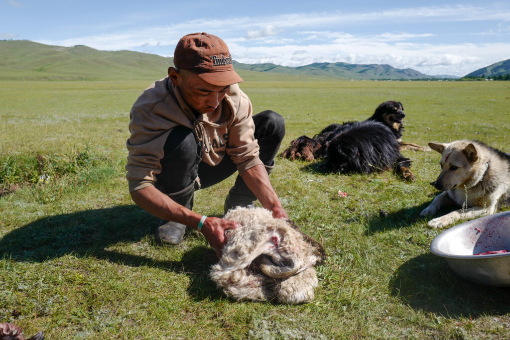 モンゴル　遊牧民ゲルホームステイ　ホルホグ