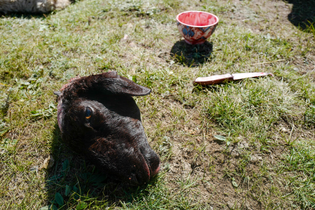モンゴル　遊牧民ゲルホームステイ　ホルホグ