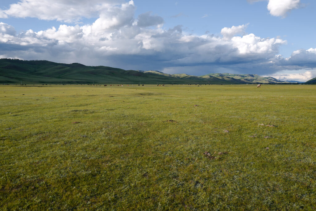 モンゴル　遊牧民ゲルホームステイ　