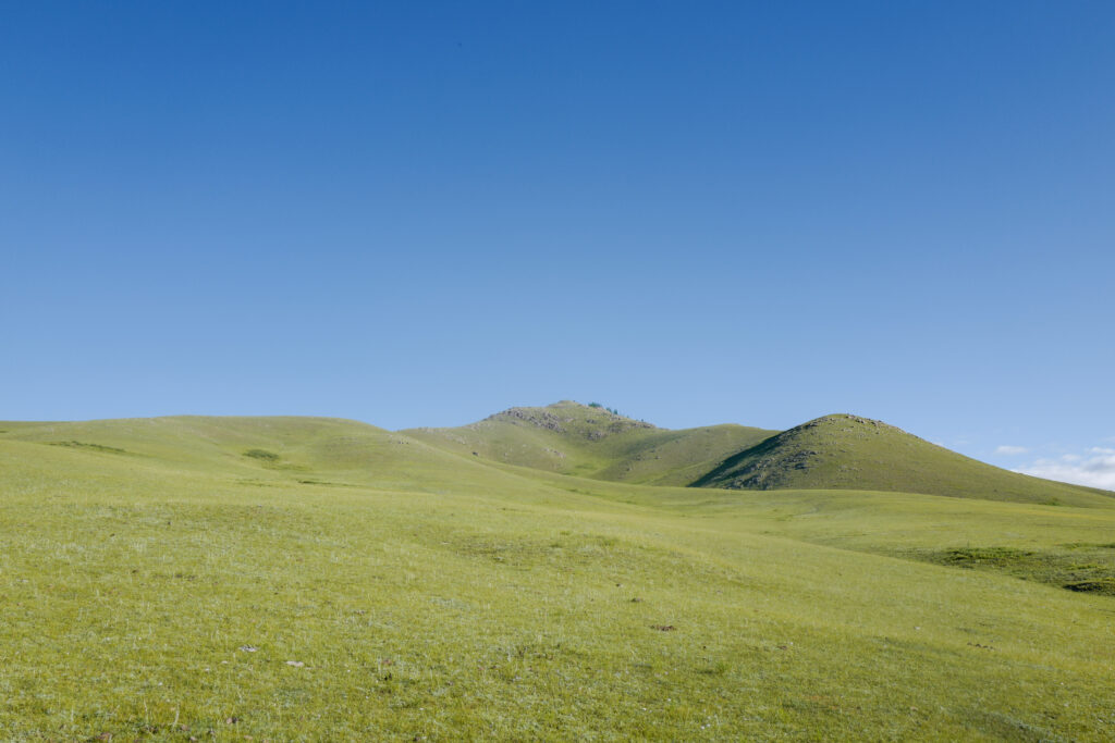 モンゴル旅行　ゲル　草原　散策