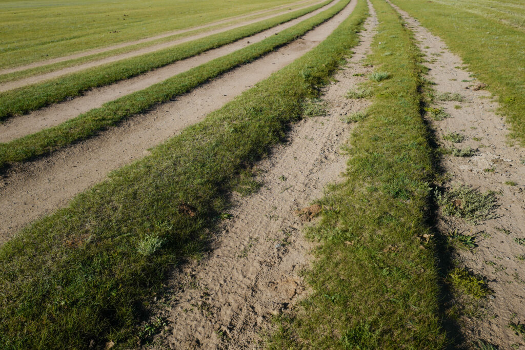 モンゴル旅行　ゲル　草原　散策