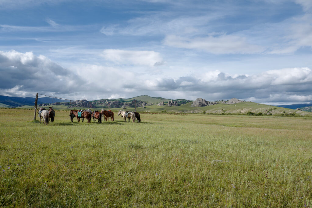 モンゴル旅行　馬旅キャンプ　乗馬体験　