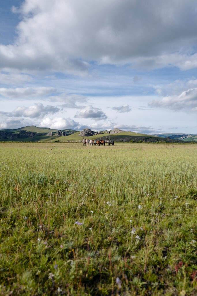 モンゴル旅行　馬旅キャンプ　乗馬体験　