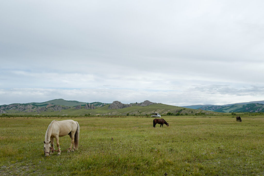 モンゴル　遊牧民ゲルホームステイ　馬旅キャンプ
