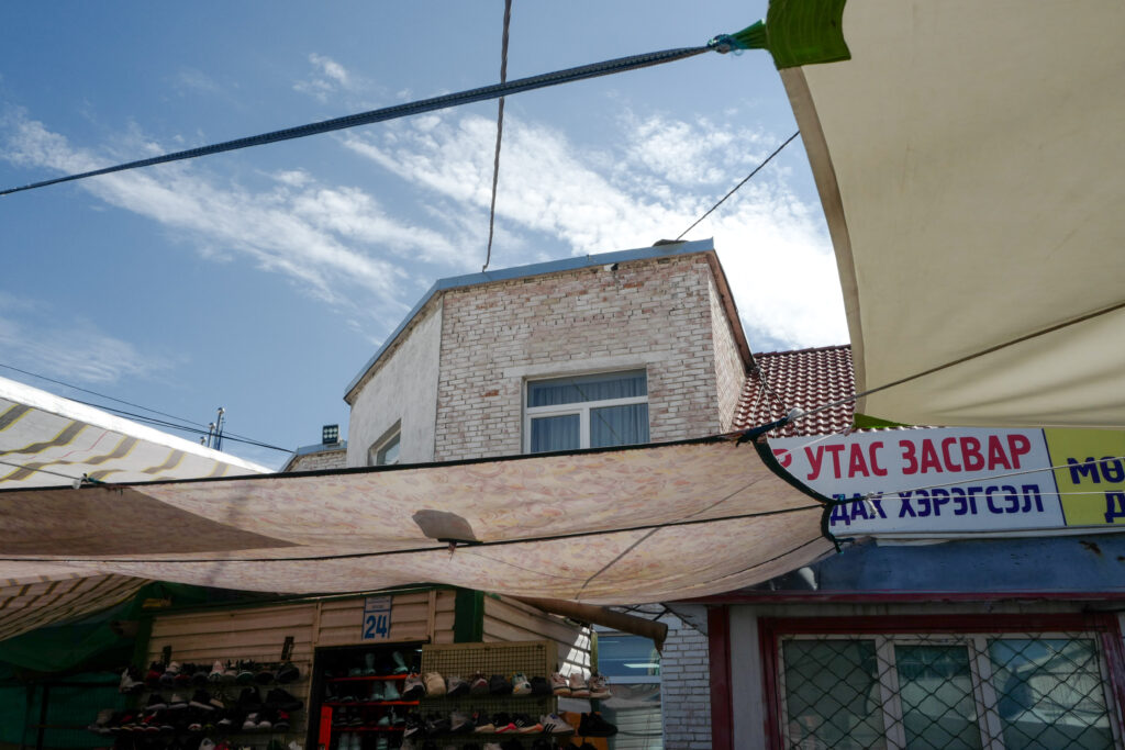 モンゴル7泊8日旅 ウランバートル散策 ナラントール市場