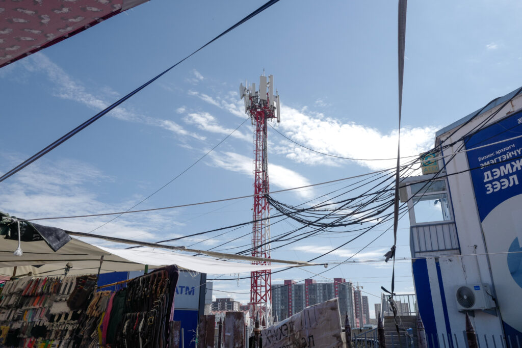 モンゴル7泊8日旅 ウランバートル散策 ナラントール市場