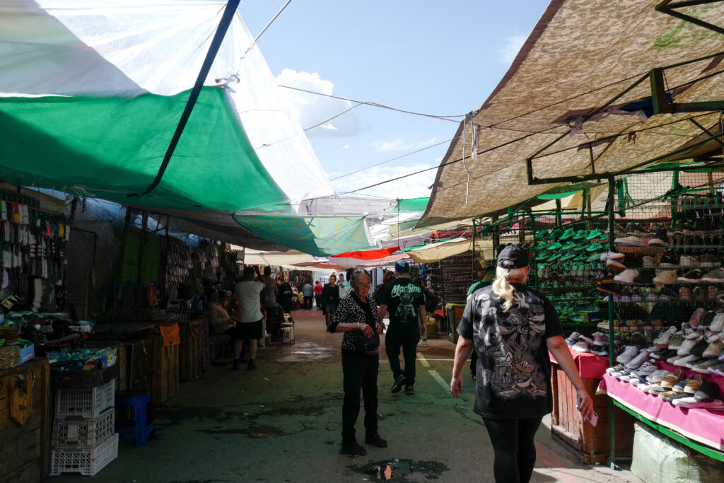 モンゴル7泊8日旅 ウランバートル散策 ナラントール市場